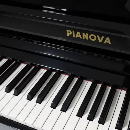 Цифровой рояль PIANOVA RG-110 Polish Black